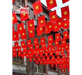 TRANG TRÍ NGÀY LỄ HÌNH 43