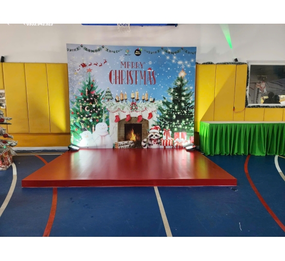 Trang trí Noel 9
