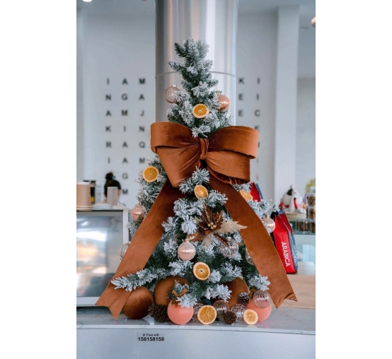 Trang trí Noel 14