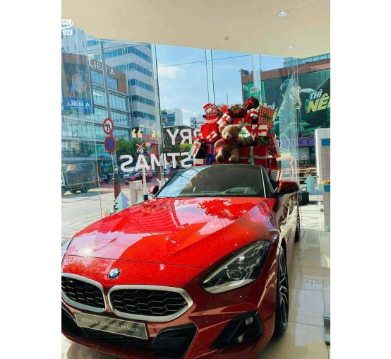 Trang trí Noel 46